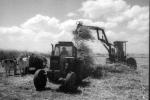 Man, Male, tractor, trailer, oxen, heavy equipment, FMBV01P05_18