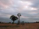 Rotor, Tree, Grassland