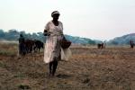 Woman Sowing Seed, Planting, Chibi, Zimbabwe, FMJV01P03_18