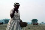 Woman Sowing Seed, Planting, Chibi, Zimbabwe, FMJV01P04_01