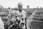 Woman with her Harvest, Smiles, FMJV01P04_14BW