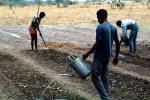 Men, Farmfield, Sowing Seed, Planting, FMJV01P05_04