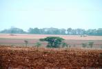 Farmlands in Zimbabwe, FMJV01P05_09.0838