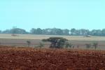 Farmlands in Zimbabwe, FMJV01P05_10.0947