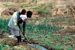 Cutting an irrigation ditch, Mother Farming with Child on her Back, near Tete, Mozambique