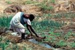 Cutting an irrigation ditch, Mother Farming with Child on her Back, near Tete, Mozambique, FMJV01P05_14