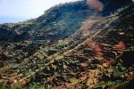Terraced fields, Funchal, Maderia, Canary Islands, 1950s