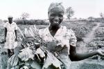 Woman, Harvesting her Crops, Smiles, FMJV01P06_07
