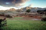 Mountains, rice fields, Ambositra, Madagascar, Rice Paddy, field, water, FMJV01P08_07