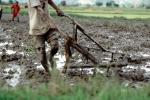 mud, dirt, soil, Plow, Plowing, man, male, farmer, manual labor, near Andrapa, Madagascar, FMJV01P09_18