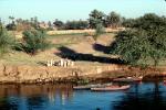 Nile River, people, riverbank, boats, tree, Egypt, FMJV01P11_04
