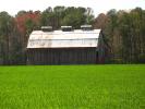 barn, Fields, southern Maryland, FMND01_163