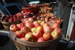 Buckets of Apples, Two-Rock, Sonoma County, FMND02_028