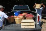 Buckets of Apples, Two-Rock, Sonoma County, FMND02_029