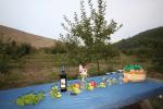 Picnic, Wine, Basket Table, Summer, FMND02_274