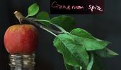 Cinnamon Spice Apple, Leaves, Two-Rock, Sonoma County, FMND02_297