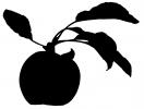 apple silhouette, leaf, logo, shape, FMND03_001M