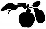 apple silhouette, leaf, logo, shape, FMND03_011M