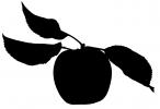 apple silhouette, leaf, logo, shape, FMND03_015M