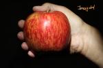 Jonagold Apple, Hand, Two-Rock, Sonoma County, FMND03_020