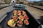 Apples, Buckets, Truck, Two-Rock, Sonoma County, FMND03_023