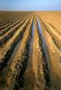 Dirt, Rows, Winter, Plowed Fields, FMND03_030