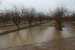 Highway-33, Orchard, Flooding, Flood, Vernalis, San Joaquin Valley, FMND03_057