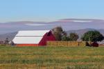 Barn, hills, hay stacks, Gustine, California