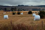 Rolled Hay Bales, fields, FMND03_211