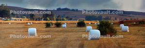 Rolled Hay Bales, fields, FMND03_212