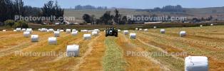 New Holland T5070, Tractor, baling hay, rolls, dust, dusty, Uniwrap, Rollant, CLAAG, FMND03_230