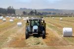 Tractor, baling hay, rolls, dust, dusty, New Holland T5070, FMND03_233