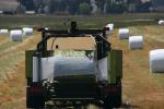 Tractor, baling hay, rolls, dust, dusty, Uniwrap, Rollant, CLAAG, FMND03_241
