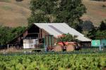 Farmfield, dust, Capay Valley, Yolo County, California, FMND03_265