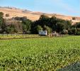 Farmfield, dust, Capay Valley, Yolo County, California, FMND03_269