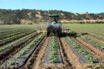 Tractor, Farmfield, dust, Capay Valley, Yolo County, California