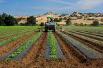 Tractor, Farmfield, dust, Capay Valley, Yolo County, California, FMND04_012