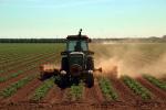 Tractor, Farmfield, dust, Esparta, Yolo County, California, FMND04_032