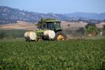 Tractor, Farmfield, dust, Esparta, Yolo County, California, FMND04_034
