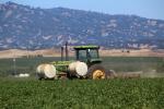 Tractor, Farmfield, dust, Esparta, Yolo County, California, FMND04_035
