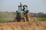 Tractor, Farmfield, dust, Esparta, Yolo County, California, FMND04_036