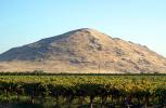 Orchard, Jesse Morrow Mountain, Navelencia, Fresno County, San Joaquin Valley