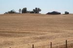 Stepped Wheat Fields, South of Porterville, FMND04_150