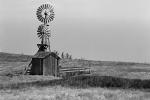 Eclipse Windmill, Irrigation, mechanical power, pump, Sonoma County, FMNPCD0657_001