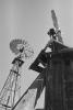 Eclipse Windmill, Irrigation, mechanical power, pump, Sonoma County, FMNPCD0657_005