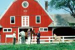 Horses, Colt, Barn 1872, House, Burklyn, Burke, Vermont, FMNV01P02_04