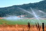 Irrigation, water, sprinkler, FMNV01P06_18.0947