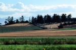 fields, road, Olympic Mountains, Whidbey Island, FMNV01P13_14