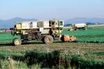 Swather, cutter, Whidbey Island, Windrower, FMNV01P14_07