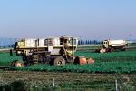Swather, cutter, Whidbey Island, Windrower, FMNV01P14_10